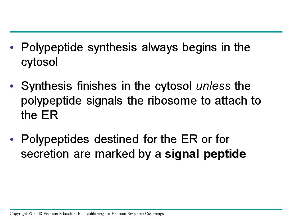 Polypeptide synthesis always begins in the cytosol Synthesis finishes in the cytosol unless the